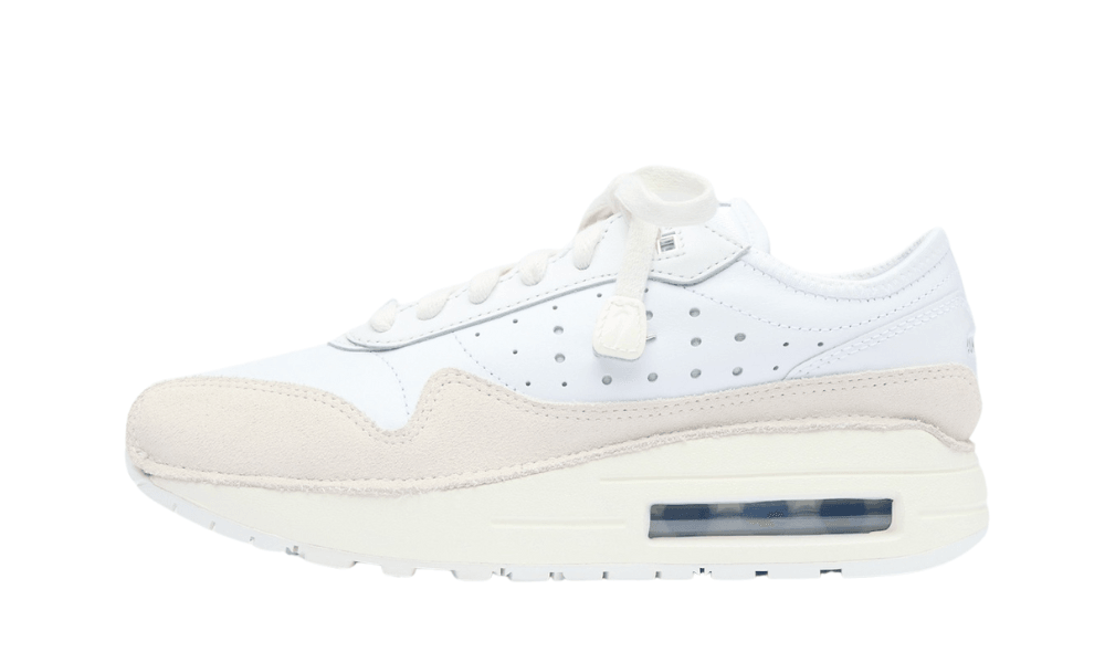Jacquemus x Nike Air Max 1
